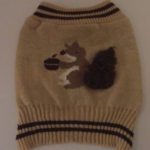 squirrel dog sweater